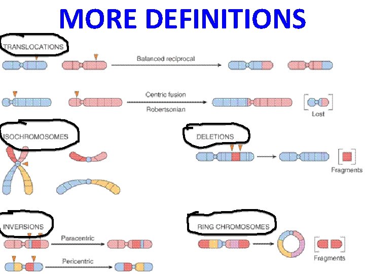 MORE DEFINITIONS 