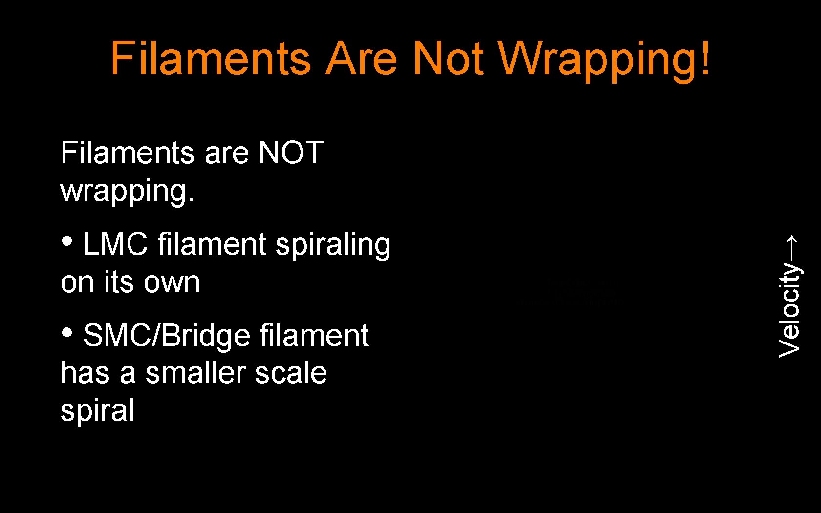 Filaments Are Not Wrapping! • LMC filament spiraling on its own • SMC/Bridge filament