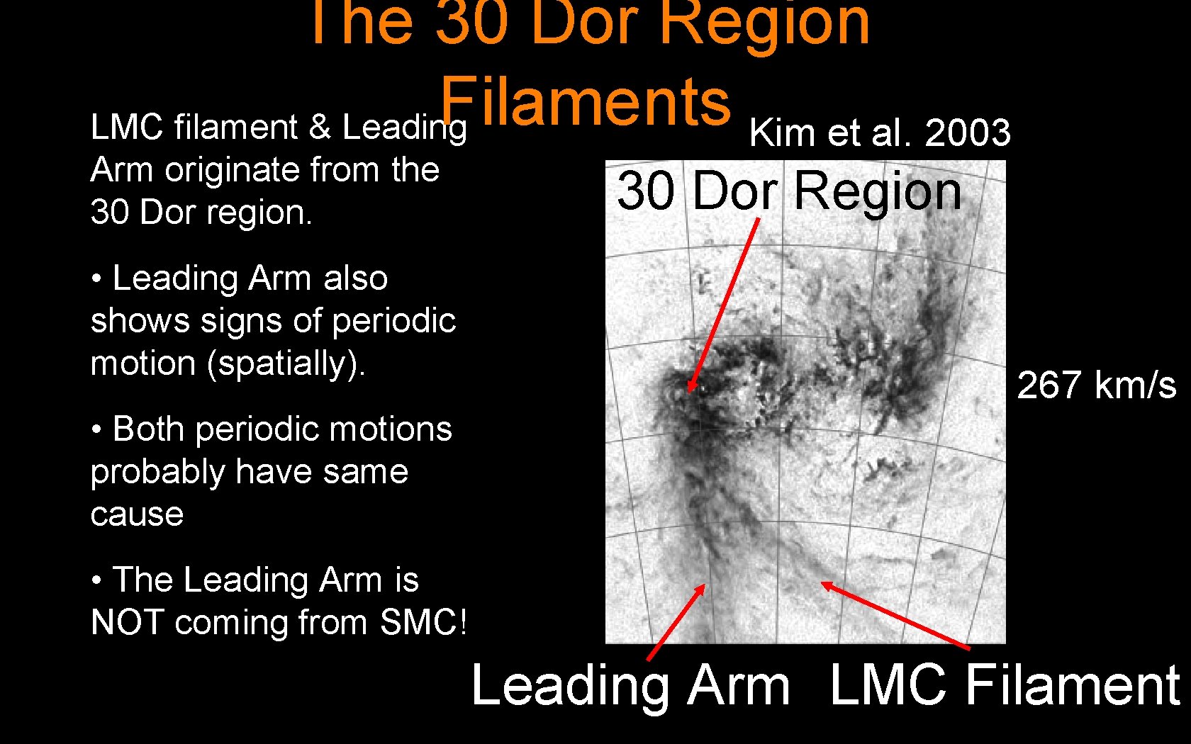 The 30 Dor Region Filaments LMC filament & Leading Kim et al. 2003 Arm