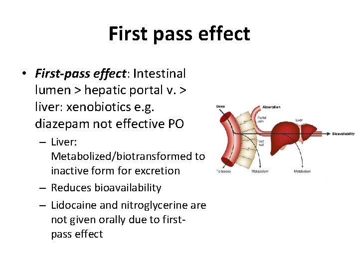 First pass effect • First-pass effect: Intestinal lumen > hepatic portal v. > liver: