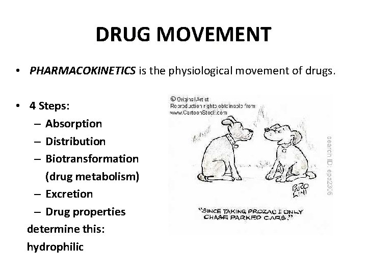 DRUG MOVEMENT • PHARMACOKINETICS is the physiological movement of drugs. • 4 Steps: –