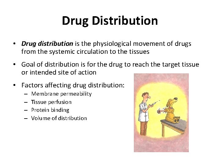 Drug Distribution • Drug distribution is the physiological movement of drugs from the systemic