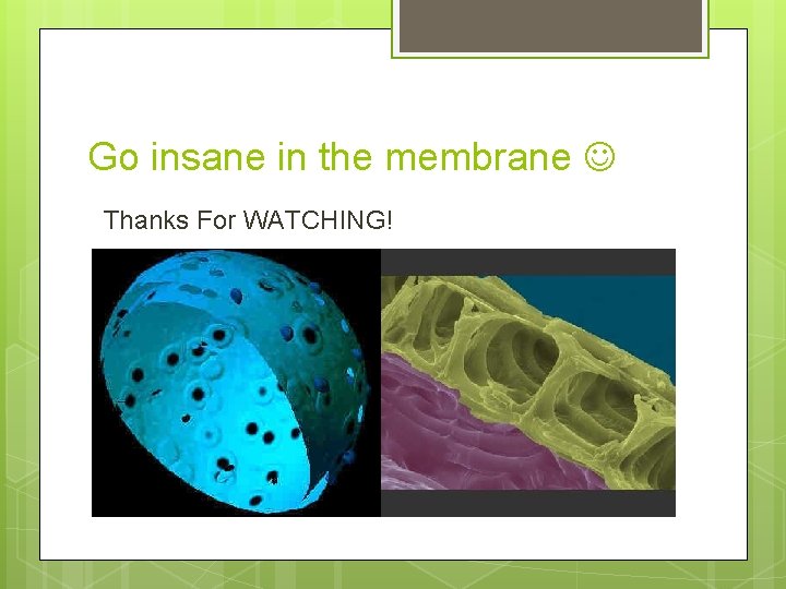 Go insane in the membrane Thanks For WATCHING! 