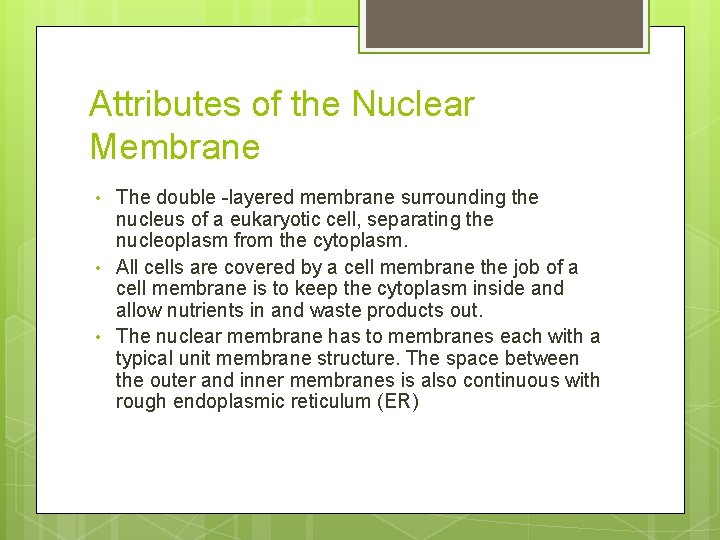 Attributes of the Nuclear Membrane • • • The double -layered membrane surrounding the