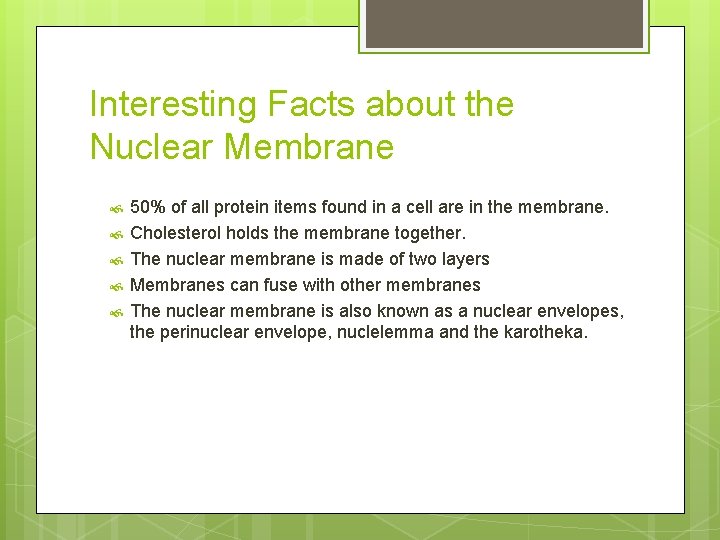 Interesting Facts about the Nuclear Membrane 50% of all protein items found in a