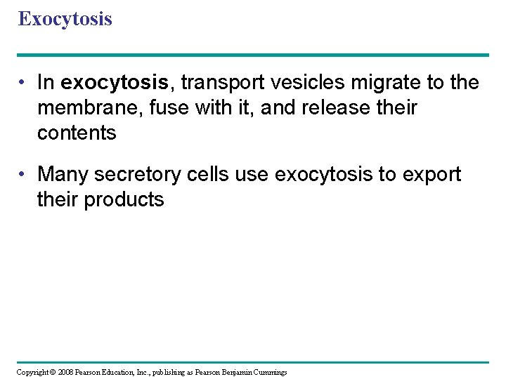 Exocytosis • In exocytosis, transport vesicles migrate to the membrane, fuse with it, and