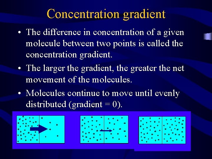 Concentration gradient • The difference in concentration of a given molecule between two points