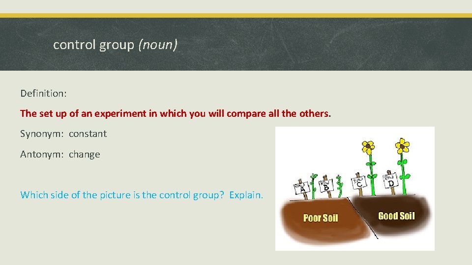 control group (noun) Definition: The set up of an experiment in which you will