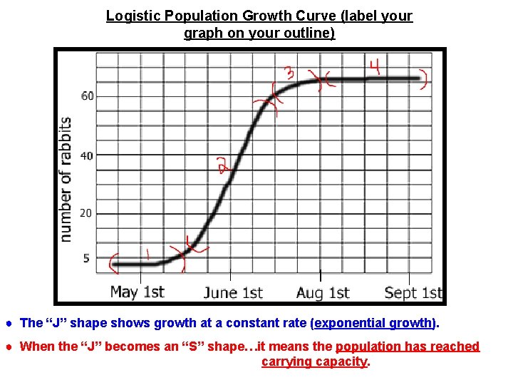 Logistic Population Growth Curve (label your graph on your outline) ● The “J” shape