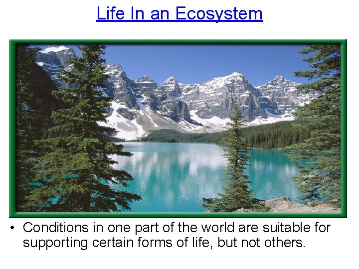 Life In an Ecosystem • Conditions in one part of the world are suitable
