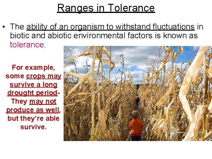 Ranges in Tolerance • The ability of an organism to withstand fluctuations in biotic