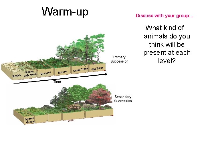 Warm-up Discuss with your group… What kind of animals do you think will be