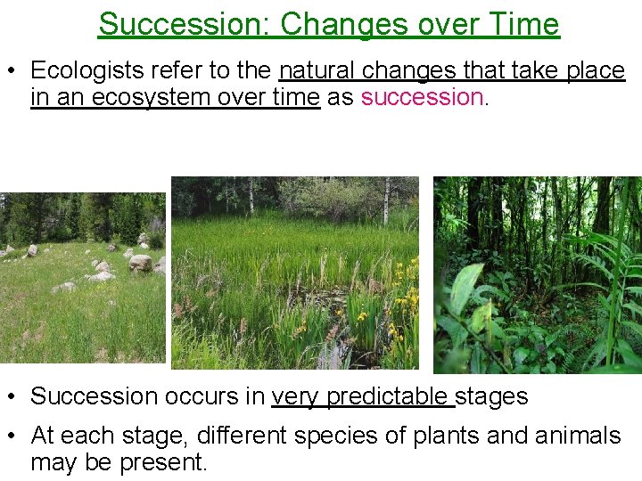 Succession: Changes over Time • Ecologists refer to the natural changes that take place