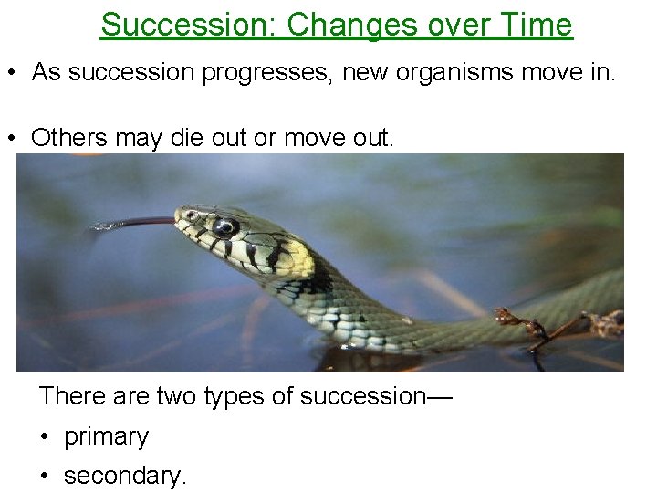 Succession: Changes over Time • As succession progresses, new organisms move in. • Others