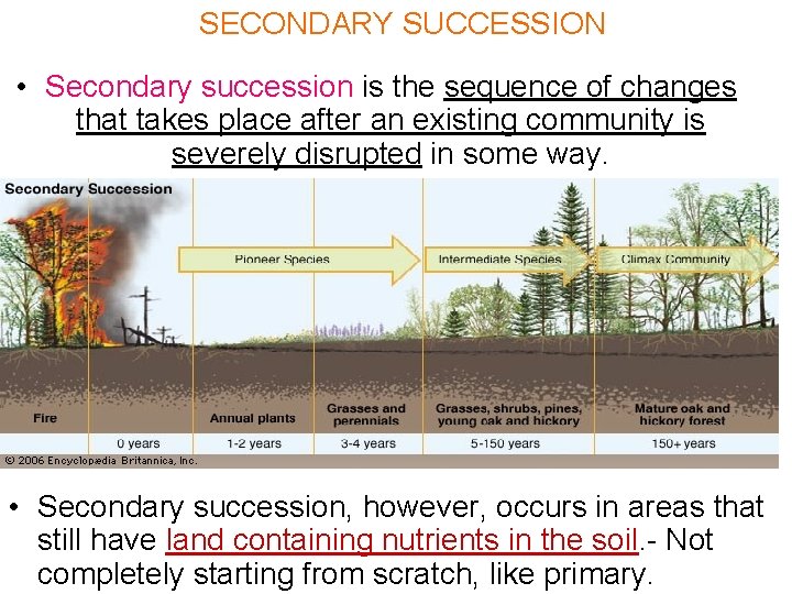 SECONDARY SUCCESSION • Secondary succession is the sequence of changes that takes place after