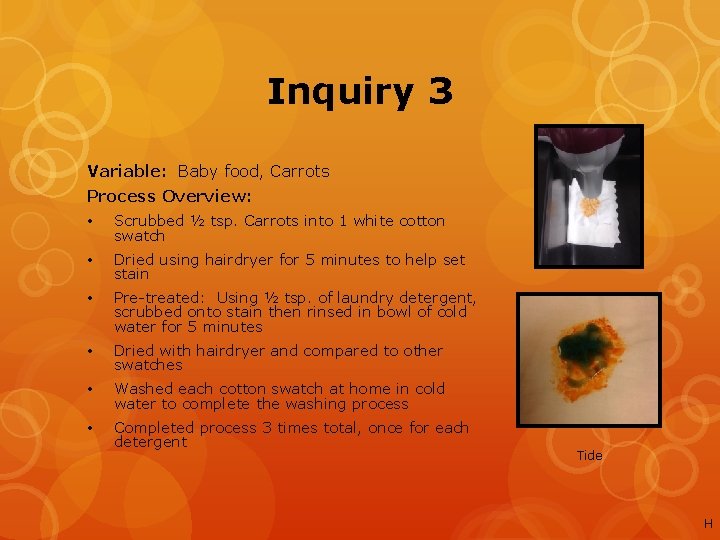 Inquiry 3 Variable: Baby food, Carrots Process Overview: • Scrubbed ½ tsp. Carrots into