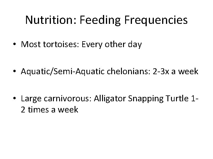 Nutrition: Feeding Frequencies • Most tortoises: Every other day • Aquatic/Semi-Aquatic chelonians: 2 -3