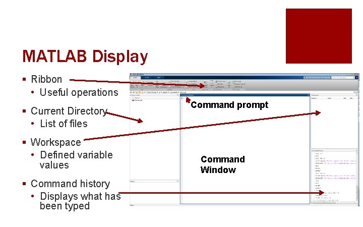 MATLAB Display § Ribbon • Useful operations § Current Directory • List of files