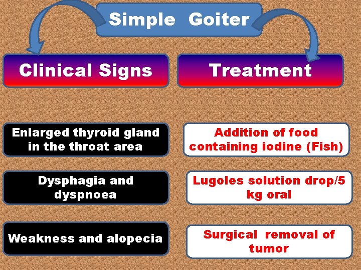 Simple Goiter Clinical Signs Treatment Enlarged thyroid gland in the throat area Addition of Simple Goiter Clinical Signs Treatment Enlarged thyroid gland in the throat area Addition of