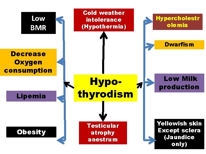 Low BMR Cold weather intolerance (Hypothermia) Hypercholestr olemia Dwarfism Decrease Oxygen consumption Lipemia Obesity Low BMR Cold weather intolerance (Hypothermia) Hypercholestr olemia Dwarfism Decrease Oxygen consumption Lipemia Obesity