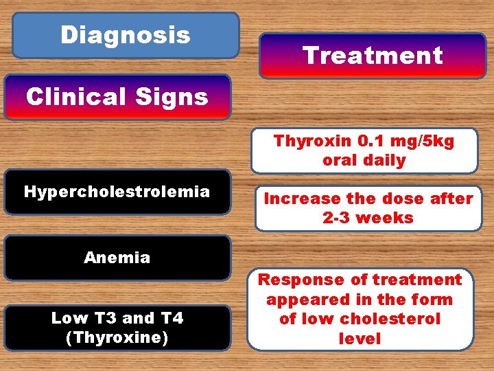 Diagnosis Treatment Clinical Signs Thyroxin 0. 1 mg/5 kg oral daily Hypercholestrolemia Anemia Low Diagnosis Treatment Clinical Signs Thyroxin 0. 1 mg/5 kg oral daily Hypercholestrolemia Anemia Low