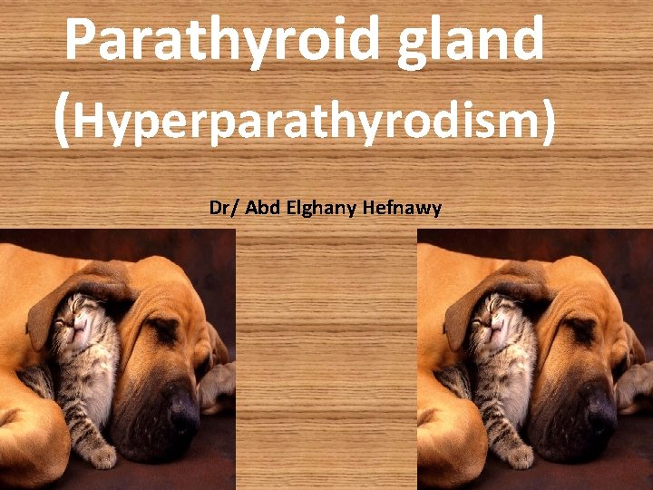 Parathyroid gland (Hyperparathyrodism) Dr/ Abd Elghany Hefnawy Parathyroid gland (Hyperparathyrodism) Dr/ Abd Elghany Hefnawy