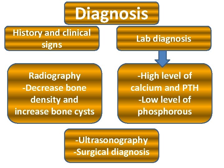 Diagnosis History and clinical signs Lab diagnosis Radiography -Decrease bone density and increase bone Diagnosis History and clinical signs Lab diagnosis Radiography -Decrease bone density and increase bone