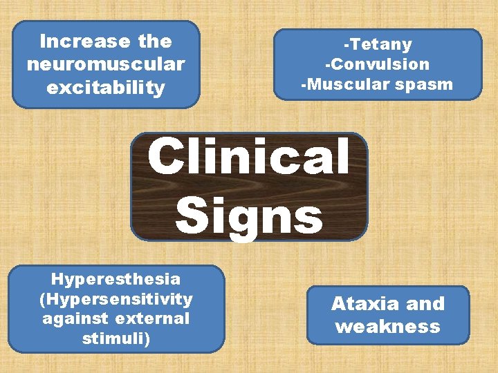 Increase the neuromuscular excitability -Tetany -Convulsion -Muscular spasm Clinical Signs Hyperesthesia (Hypersensitivity against external Increase the neuromuscular excitability -Tetany -Convulsion -Muscular spasm Clinical Signs Hyperesthesia (Hypersensitivity against external