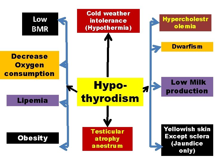 Low BMR Cold weather intolerance (Hypothermia) Hypercholestr olemia Dwarfism Decrease Oxygen consumption Lipemia Obesity Low BMR Cold weather intolerance (Hypothermia) Hypercholestr olemia Dwarfism Decrease Oxygen consumption Lipemia Obesity
