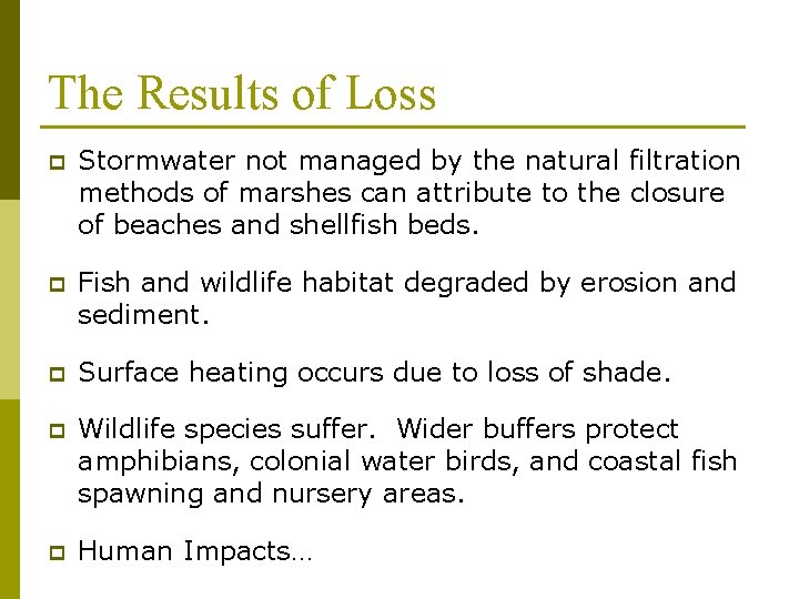 The Results of Loss p Stormwater not managed by the natural filtration methods of