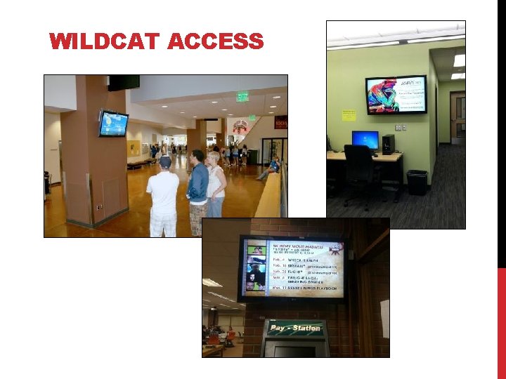 WILDCAT ACCESS 