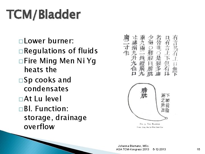 TCM/Bladder � Lower burner: � Regulations of fluids � Fire Ming Men Ni Yg