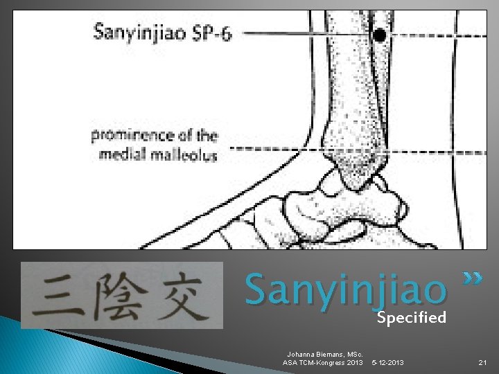 Sanyinjiao Specified Johanna Biemans, MSc. ASA TCM-Kongress 2013 5 -12 -2013 21 