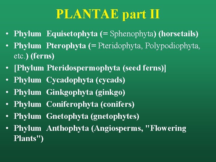 PLANTAE part II • Phylum Equisetophyta (= Sphenophyta) (horsetails) • Phylum Pterophyta (= Pteridophyta,