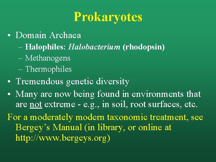 Prokaryotes • Domain Archaea – Halophiles: Halobacterium (rhodopsin) – Methanogens – Thermophiles • Tremendous