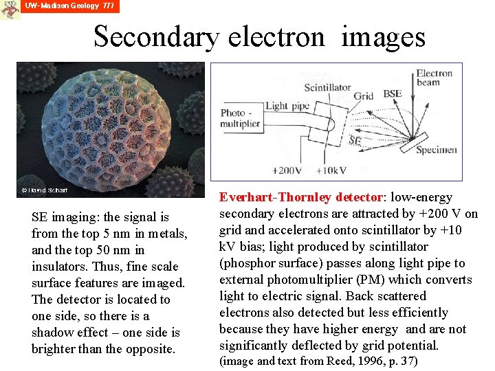 Secondary electron images SE imaging: the signal is from the top 5 nm in