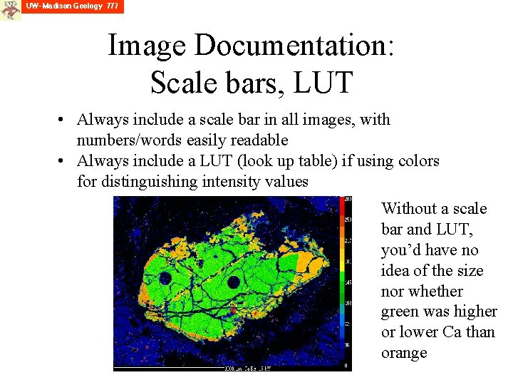 Image Documentation: Scale bars, LUT • Always include a scale bar in all images,