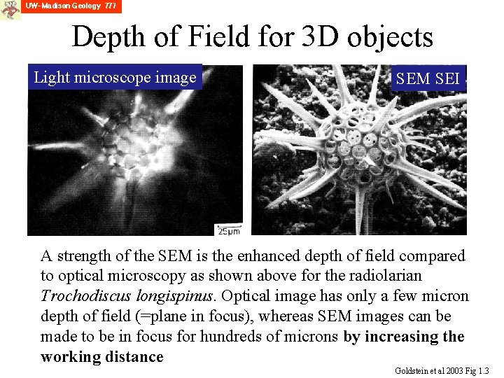 Depth of Field for 3 D objects Light microscope image SEM SEI A strength