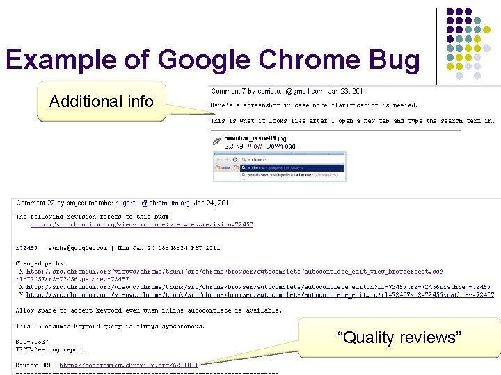Example of Google Chrome Bug Additional info “Quality reviews” 