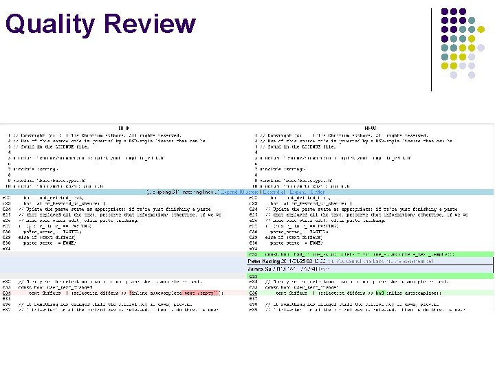 Quality Review 