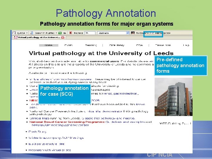 Pathology Annotation Pathology annotation forms for major organ systems Pre-defined pathology annotation forms Pathology