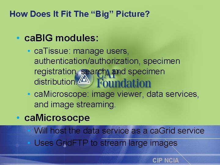 How Does It Fit The “Big” Picture? • ca. BIG modules: • ca. Tissue: