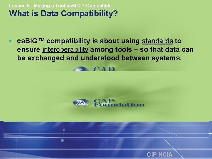 Lesson 5: Making a Tool ca. BIG™ Compatible What is Data Compatibility? • ca.
