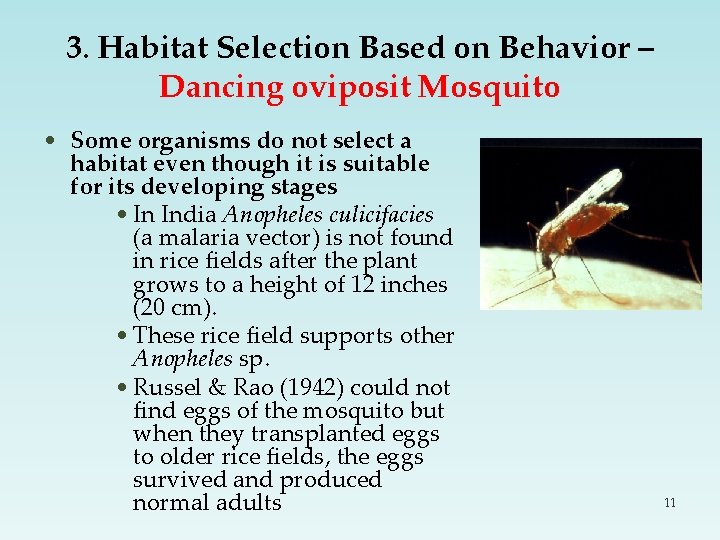 3. Habitat Selection Based on Behavior – Dancing oviposit Mosquito • Some organisms do