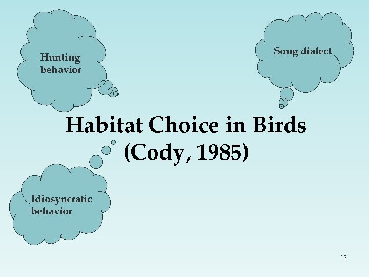 Hunting behavior Song dialect Habitat Choice in Birds (Cody, 1985) Idiosyncratic behavior 19 