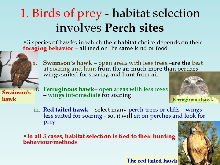 1. Birds of prey - habitat selection involves Perch sites • 3 species of