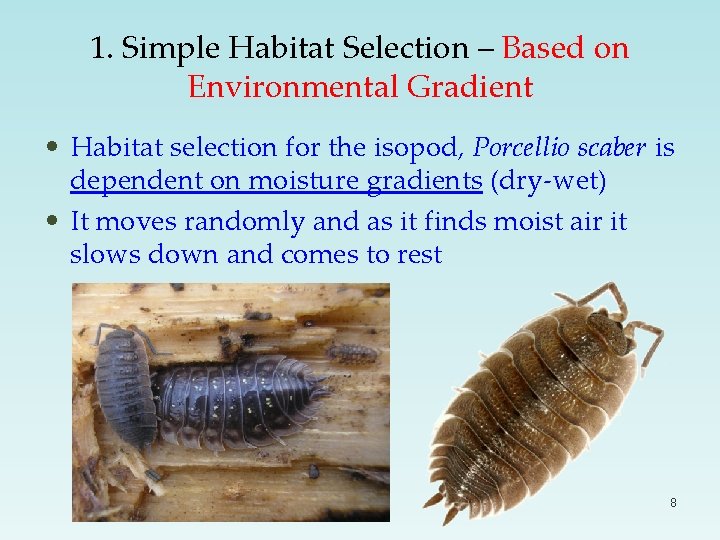 1. Simple Habitat Selection – Based on Environmental Gradient • Habitat selection for the