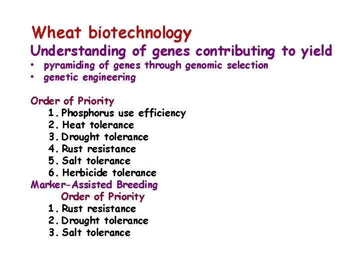 Wheat biotechnology Understanding of genes contributing to yield • pyramiding of genes through genomic