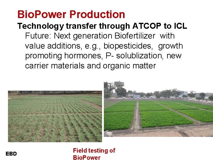 Bio. Power Production Technology transfer through ATCOP to ICL Future: Next generation Biofertilizer with