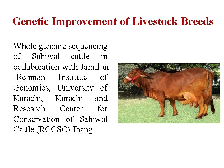 Genetic Improvement of Livestock Breeds Whole genome sequencing of Sahiwal cattle in collaboration with